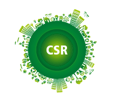 csr11